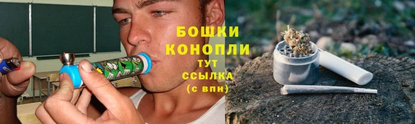 сатива Тында