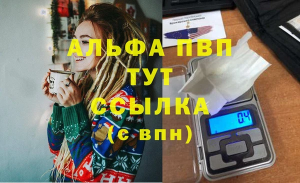 ECSTASY Лагань