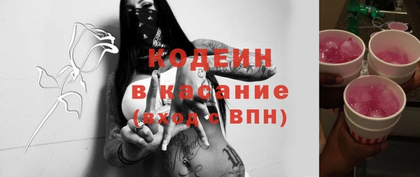 ECSTASY Лагань