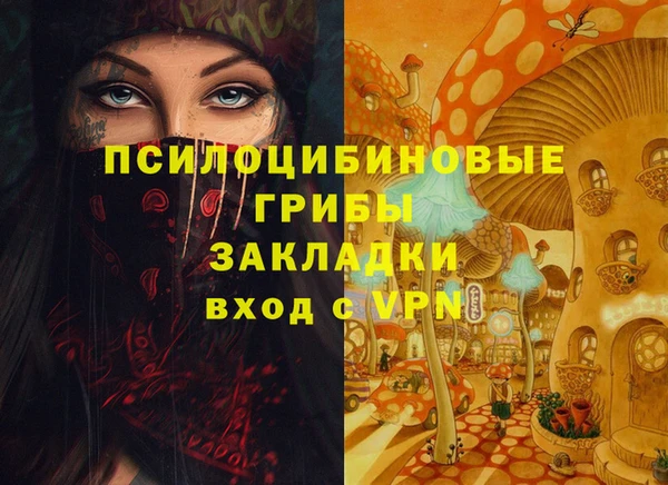 ECSTASY Лагань