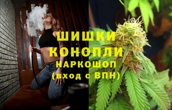ECSTASY Лагань