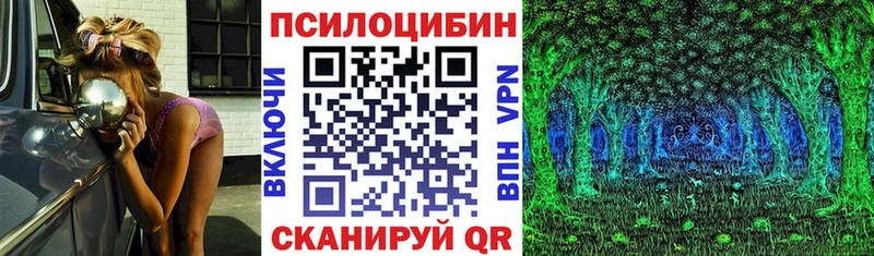 Псилоцибиновые грибы MAGIC MUSHROOMS  где купить наркотик  Талдом 